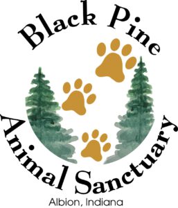 black pine animal sanctuary. logo.