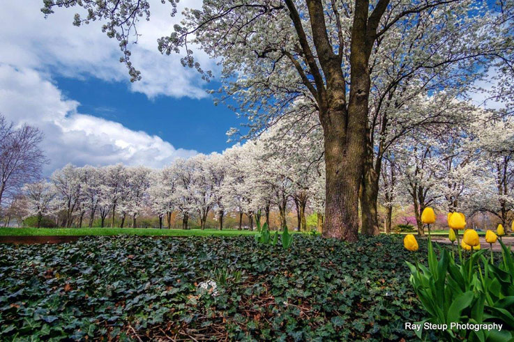 Headwaters-Park-in-spring